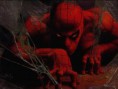 /album/galeria-de-fotos/wallcrawler-jpg/